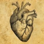Cardiologia: storia e attualità