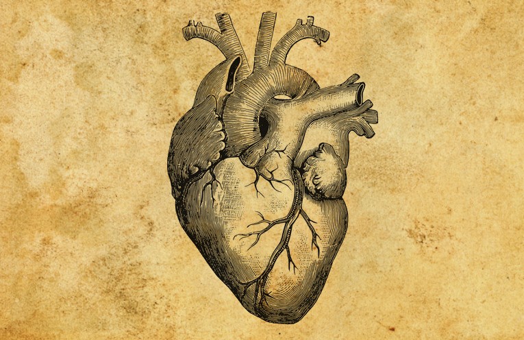 Cardiologia: storia e attualità