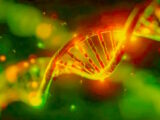 Chi sono io? Manipolazioni genetiche e libertà