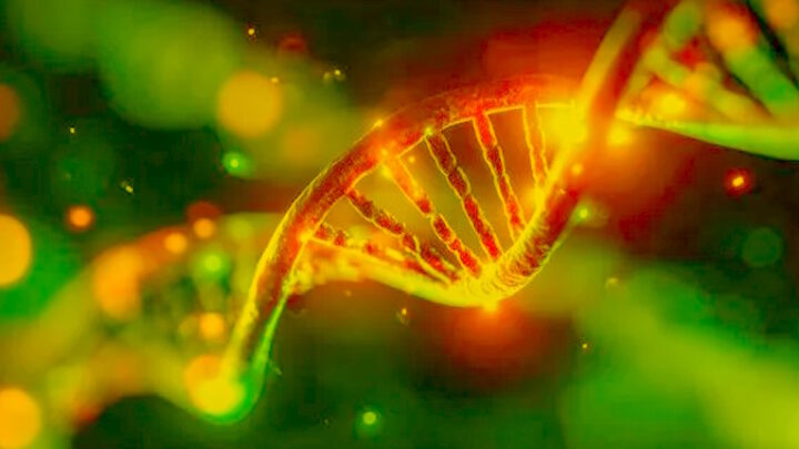 Chi sono io? Manipolazioni genetiche e libertà