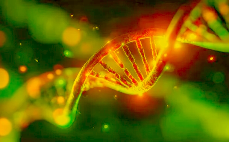 Chi sono io? Manipolazioni genetiche e libertà